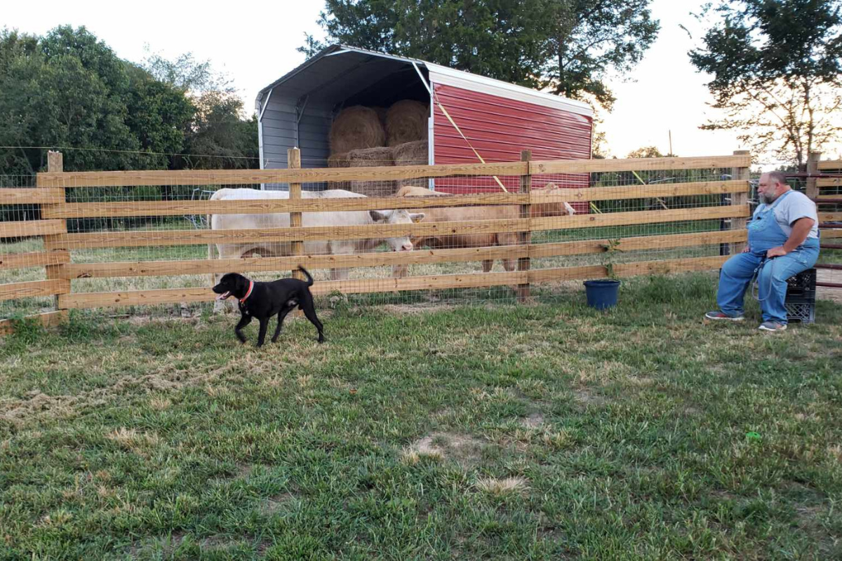 Snake Creek Kennel Adolphus KY 1